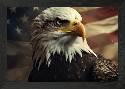 Amerikanische Flagge Weißkopfseeadler gerahmtes Wandbild Poster Leinwanddruck Bild