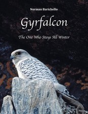 Gyrfalcon: The One Who Stays All Winter by Norman Barichello (English) Paperback