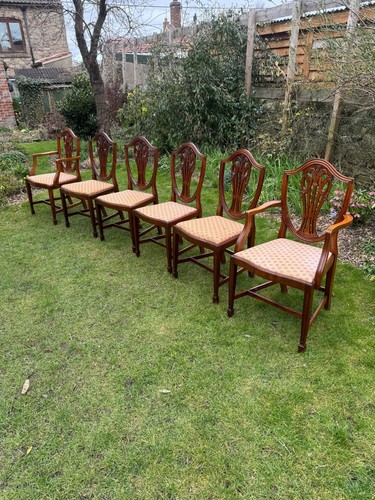 Set of Six 6 Georgian Style Mahogany Sheild Back Dining Chairs Fleur de Lys - Picture 2 of 24