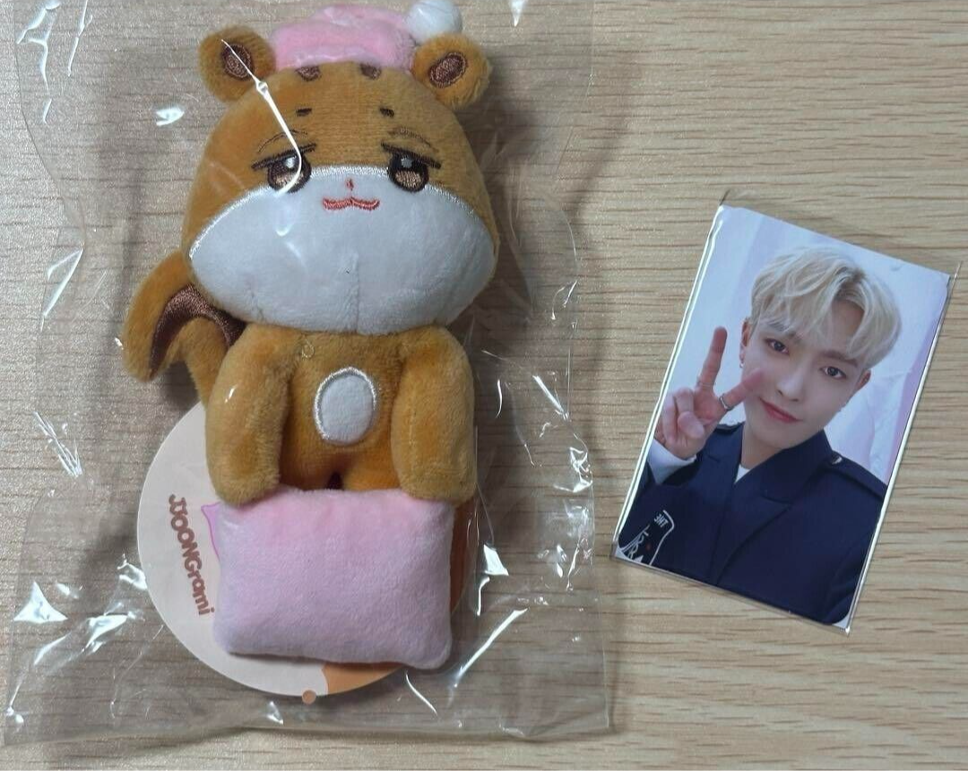 ANITEEZ TOKTOQ Limited MONITOR DALL Sleep ver. JJOONGrami Plush