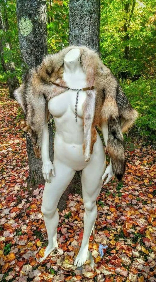 Coyote Fur Pelt Shoulder Mantle Cape Cloak Game Of Thrones Viking Costume - Image 2 of 4