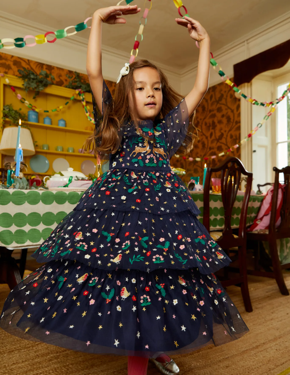 NWT Mini Boden Tulle Embroidered Party Dress | eBay