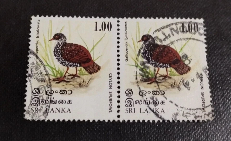 8 x 1979  Sri Lanka Birds / Spurfowl 1r Stamp Used #SG687 - Image 2 of 4