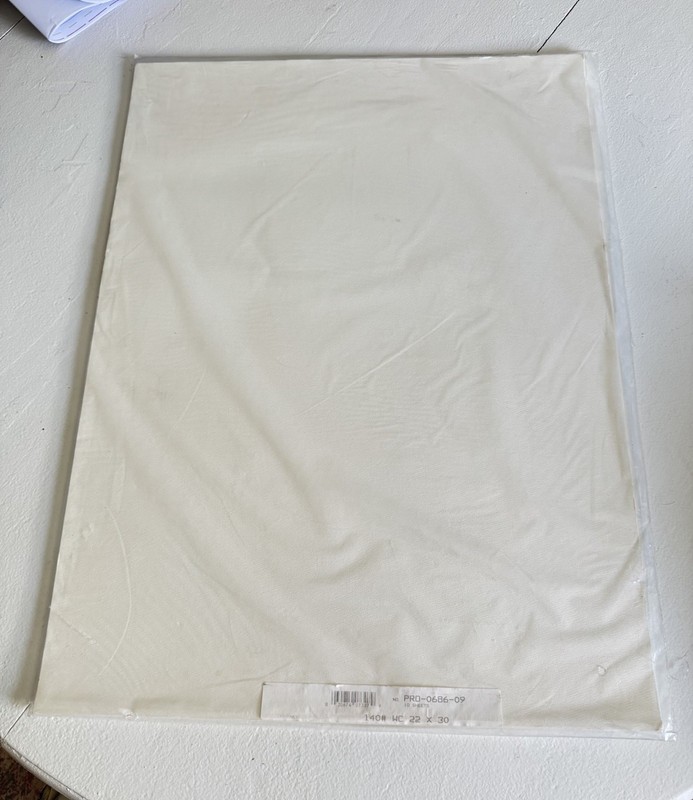 Canson XL Watercolor Sheet Cold Press 22X30-140lb White  10 Count