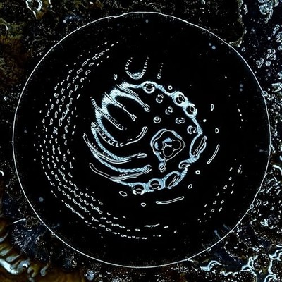 STONUS - BLACK VINYL - Vinyl Record - J3z