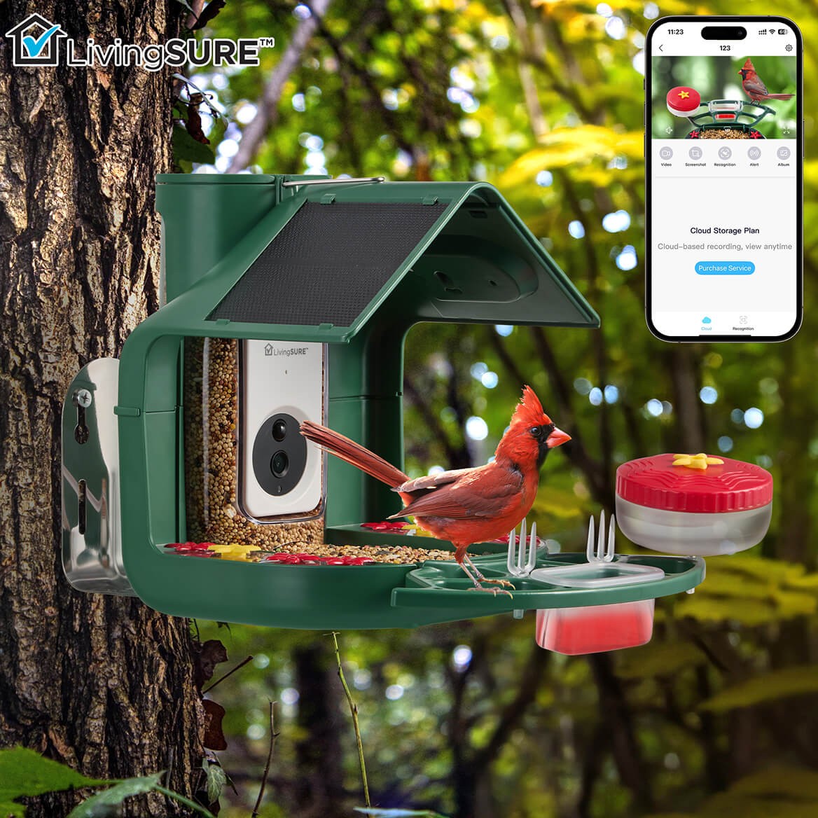 2-in-1 Smart Bird Feeder with Camera Outdoor Solar Powered Smart Birdfeeder Live