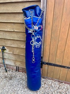Turner Max Punch Bag