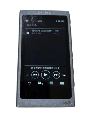 SONY ウォークマン NW-A45 Sony NW-A45 Walkman 16GB Hi-Res Digital Audio Player Black Tested
