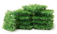 "Vbs Xxl Grasmatten \"13 X 13 Cm\", 10 StüCk"