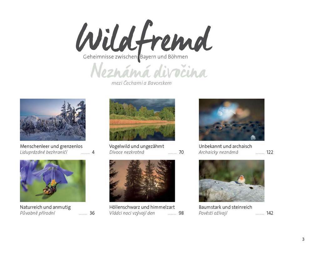 Thumbnail - Wildfremd | Berndt Fischer | 2020 | Deutsch