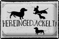 Blechschild Spruch 30X20 Cm Hereingedackelt! Deko Schild Tin Sign