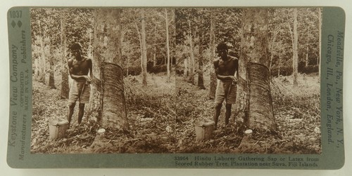 Square Top Keystone Stereoview a Hindu Gathering Latex, Fiji Islands K600 #1037 - Picture 2 of 3