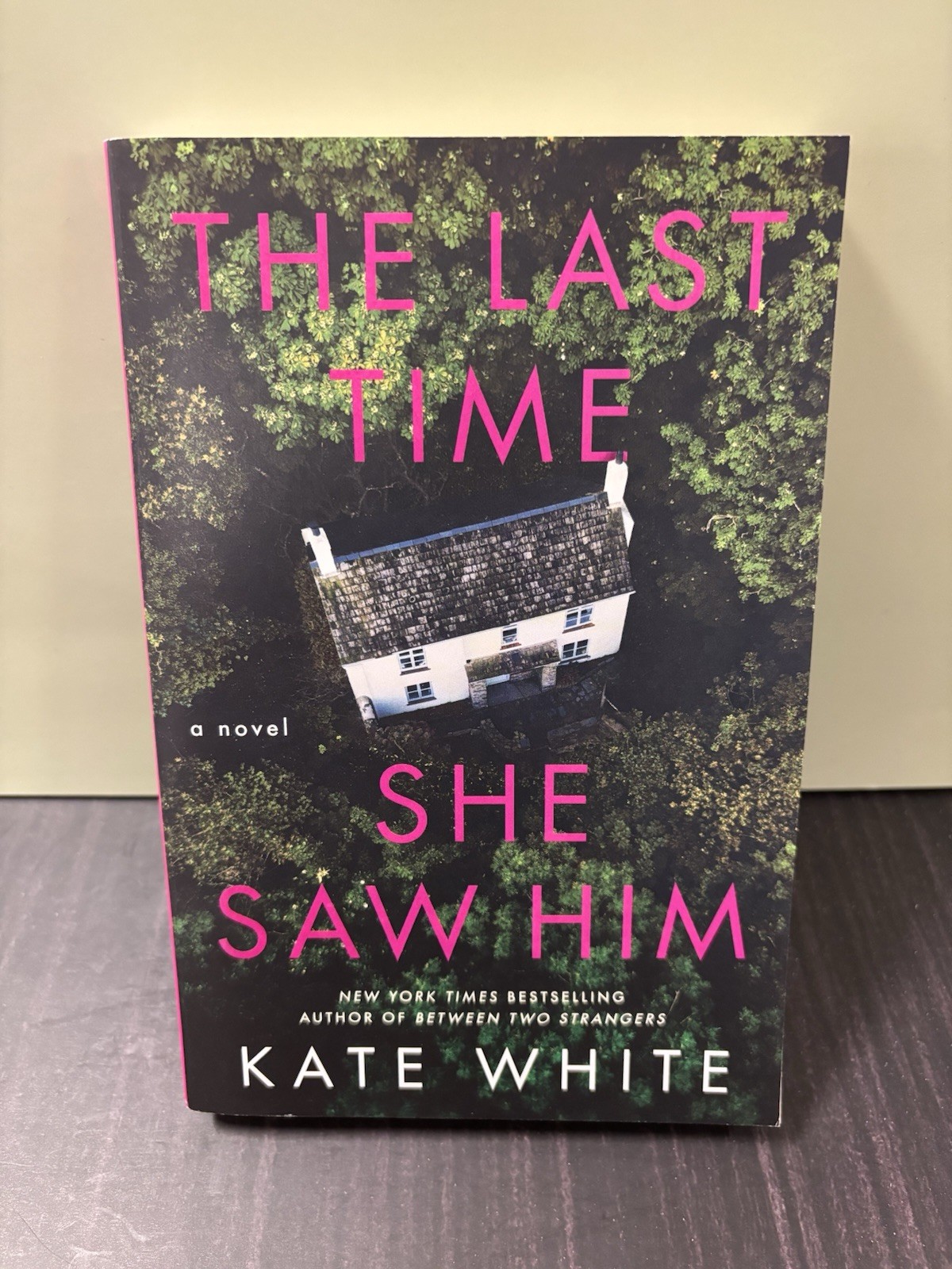 The Last Time She Saw Him: A Novel by Kate White (softcover)