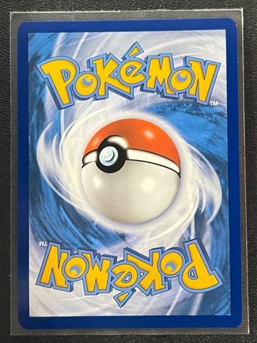 Lucario V SWSH213 Black Star Promo Premium Collection Pokemon TCG - Near Mint NM - Bild 2 von 6