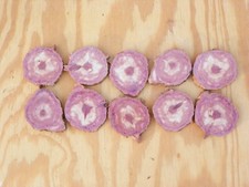 Naturally Aged Live Edge Cedar Slices Approximately 3/8" Thick Lot Of 10