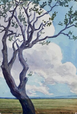 Pierre-Edmond PERADON - Peinture originale - Aquarelle - Arbre centenaire