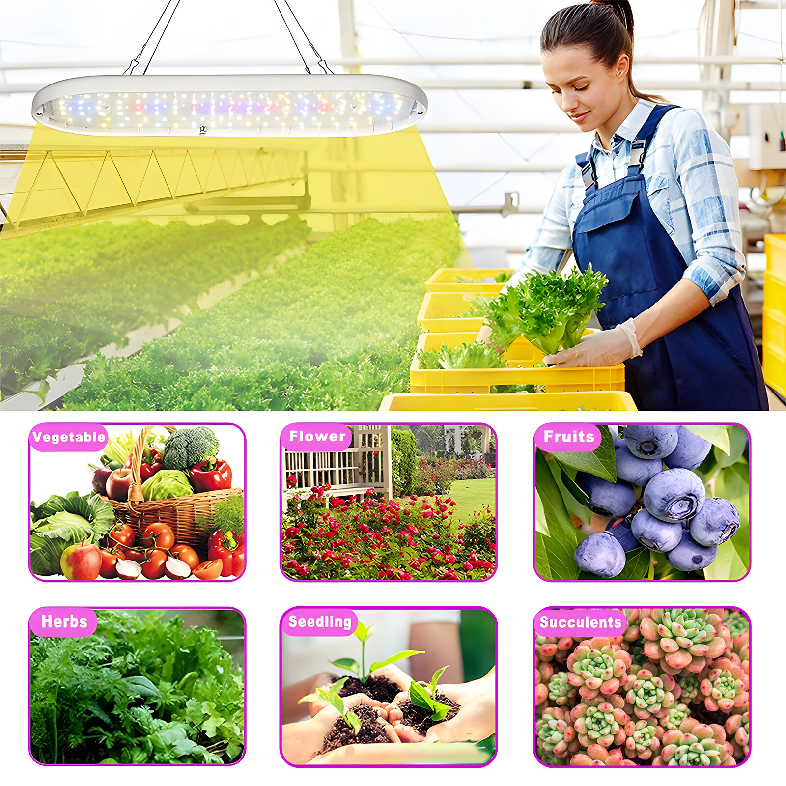 Grow Full Spectrum 10W 2H 4H 8H Timer 4 Dimmable Levels Plant Z3I9 EBay Grow full spectrum 10w 2h 4h 8h timer 4 dimmable levels plant z3i9 ebay