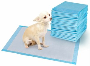 kitten training pads