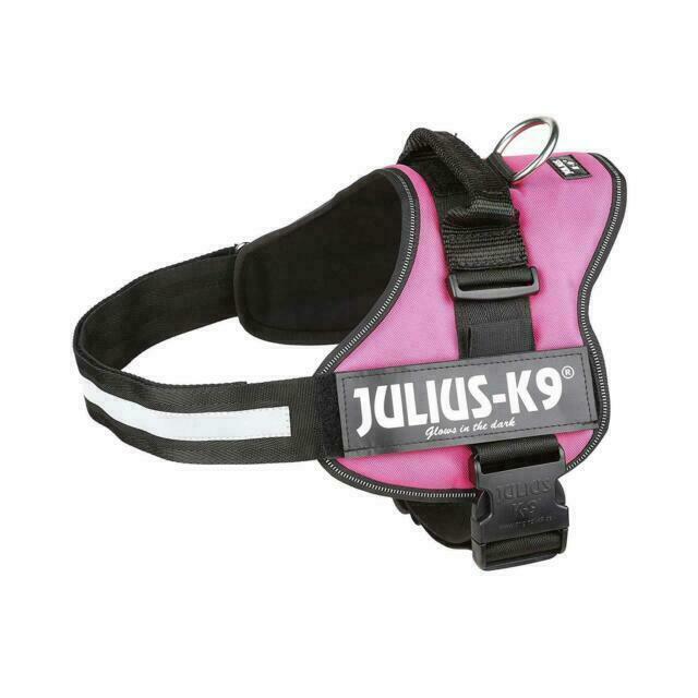 julius k9 pink