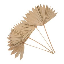4pcs Palm Leaf Decor Dried Palm Leaf Fan Ornament Hotel Wall Art Leaf Decor