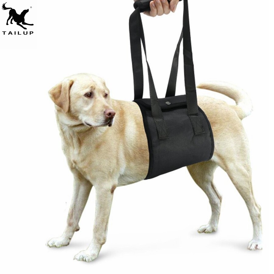 Hunde Tragehilfe Gehhilfe Tragegurt Hebehilfe Rehahilfe für Hunde S M L XL