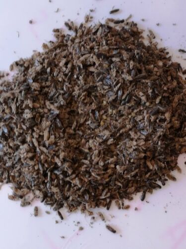 DRIED WATERFLIES 5mm KILLI Food Tropical Fish & Reptiles - Picture 1 of 1