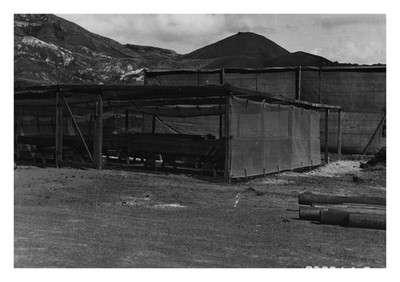 Ascension Island 1945 Hydroponics Garden Postcard US Air Force