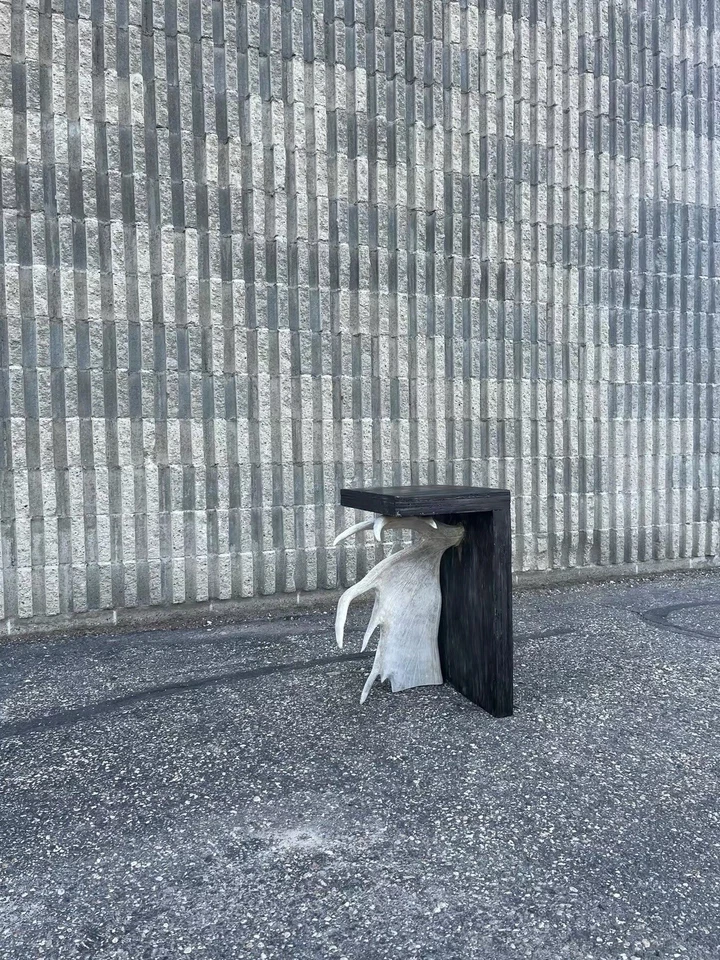 Stag T Stool/Nightstand Custom Handmade With Plywood & Alaskan Moose Antler - Image 4 of 4