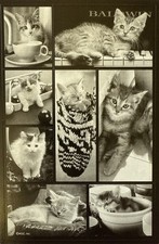 BLACK/WHITE KITTEN Stickers 8pc Cats Best Friend Pets Fuzzy Feline Card Making