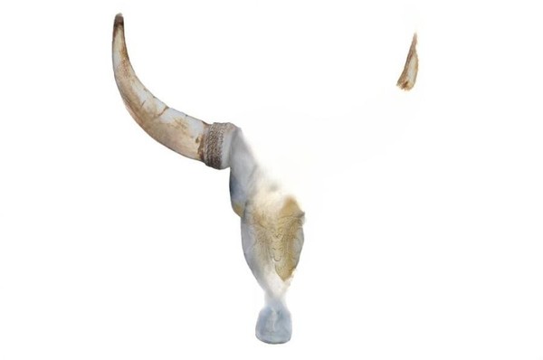 Design SchäDel Figur Statue Skulptur Figuren Skulpturen Dekoration Deko Abstrakt-image