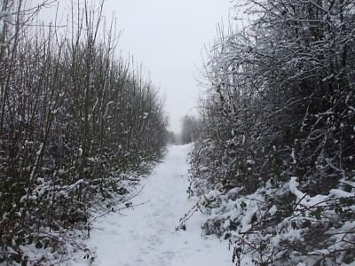 Photo 6x4 Footpath sandwiched  between Circle Way and Eastern Ave, Cardif c2010