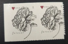 US Stamps Scott 4959 MNH Pair - Free Shipping