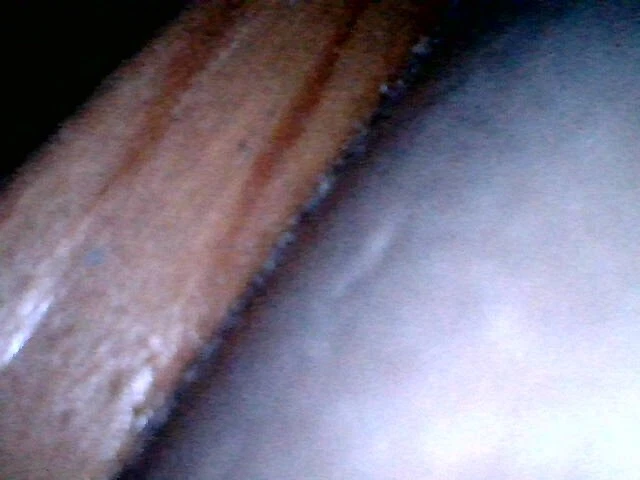 Picture 9 of 10