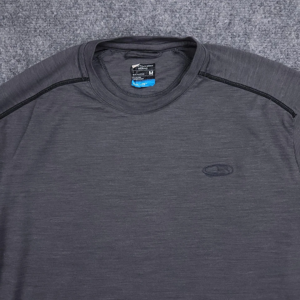 Camisa Icebreaker Para Hombre Gris Medio Lana Merino Cool-Lite Manga Larga Capa Base Foto 3 de 4