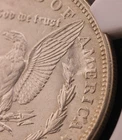1921-P  Morgan Silver Dollar $1 NGC MS 61 "Reverse Struck Through" (Chunk Gone!)