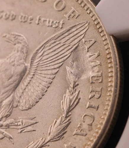 1921-P  Morgan Silver Dollar $1 NGC MS 61 "Reverse Struck Through" (Chunk Gone!)