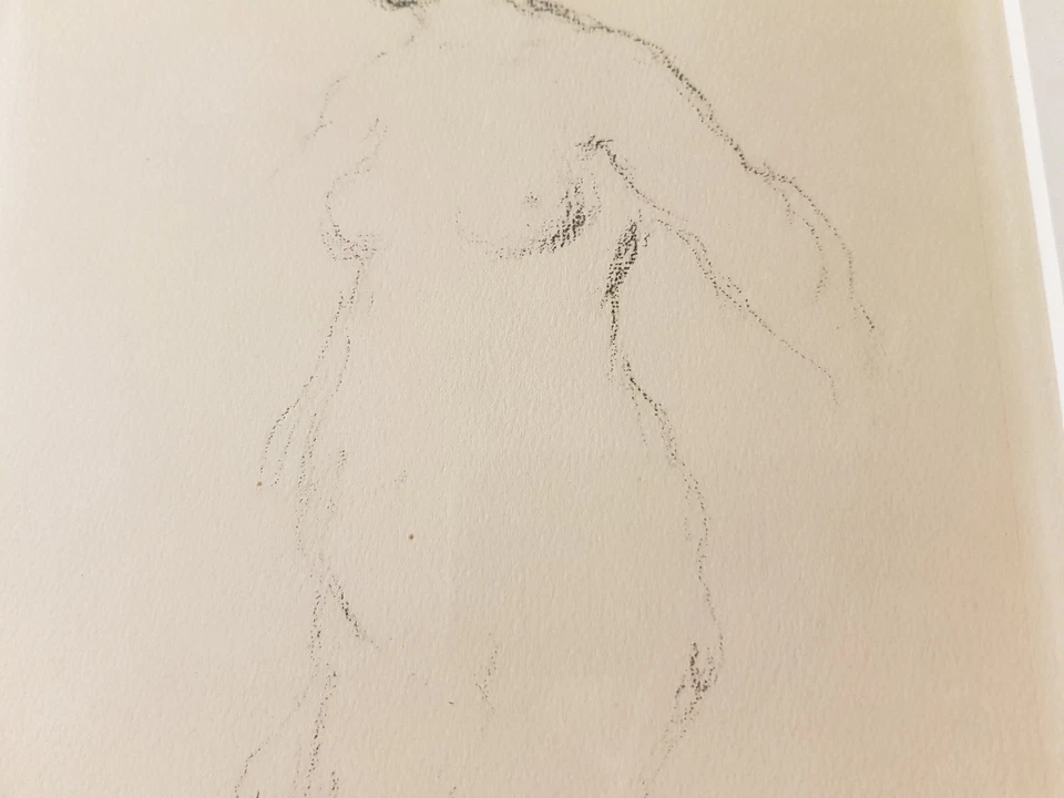 Auguste Renoir, Original Lithographie, Baigneuse nue Nackte, im Druck signiert - Bild 4 von 4