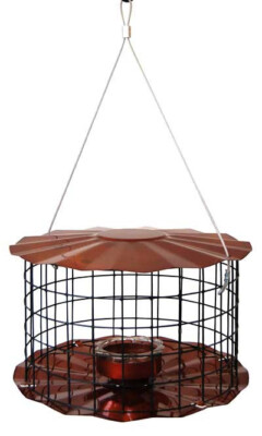 Erva Caged Bluebird Feeder, Copper Color BBF1C  Made In The USA