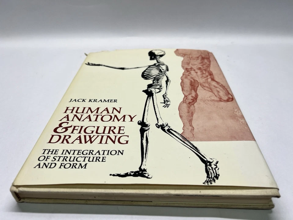 Jack Kramer, Human Anatomy & Figure Drawing. 1st Edition 1972 - Image 4 of 4