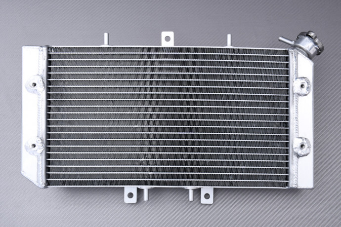 Radiateur d'eau POLARIS OUTLAW 450 MXR 2X4 pour conditions extrêmes