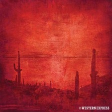 Western Express 22" Red Cactus Desert Bandana Handkerchief Scarf 100 Cotton