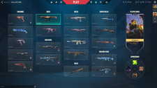 Valorant Acc With Skins Eu
