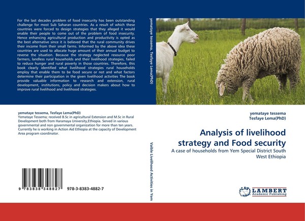 Analysis Of Livelihood Strategy And Food Security Yemataye Tessema-image