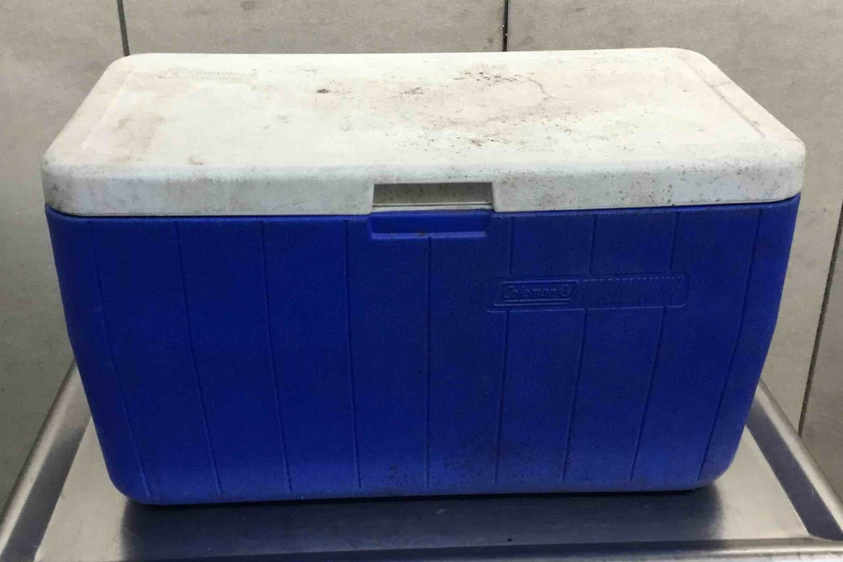Coleman 5294A Cooler ice chest beer vintage LOCAL PICKUP ONLY | eBay