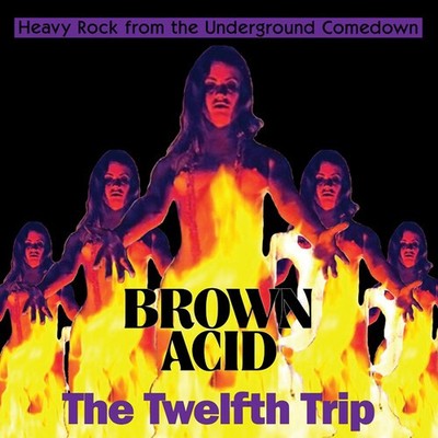 Various Artists - Brown Acid - The Twelfth Trip (Various Artists) [New CD]