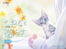 2026 Calendar Living with Kittens, Rescue Cat Charity, Monthly/Wall-hanging