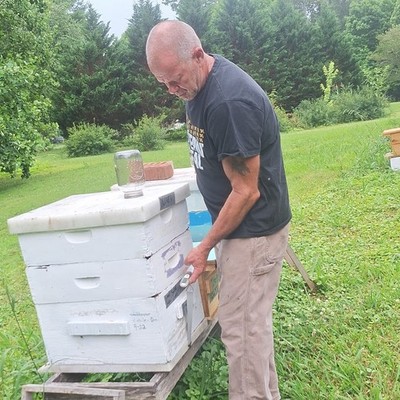 bee hive scale