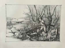 Antique Print Wild Duck Shooting c1880s Field Sports Hunting Birds Engraving