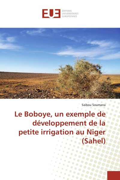 Saibou Soumana | Le Boboye, Un Exemple De DéVeloppement De La Petite...-image