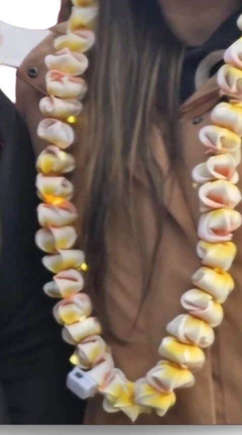 Luces Plumeria Lei Foto 3 de 3